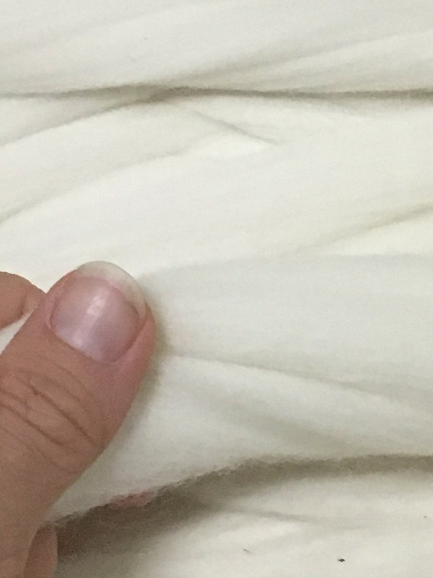 10 lbs Pounds White Wool