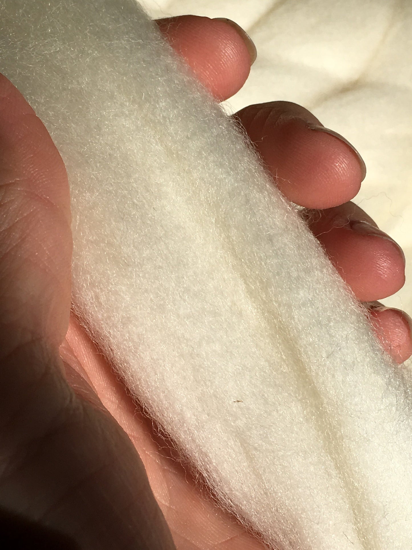 1lb Pound Merino wool roving