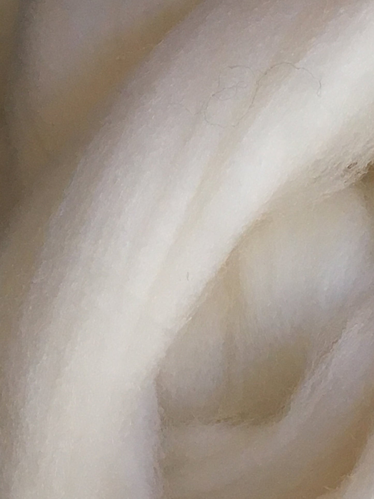 1lb Pound Merino wool roving