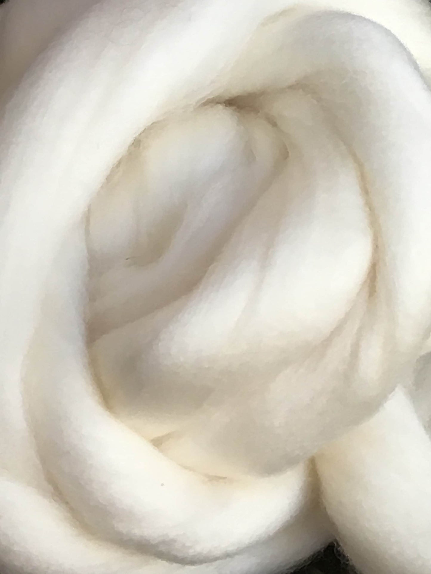 1lb Pound Merino wool roving