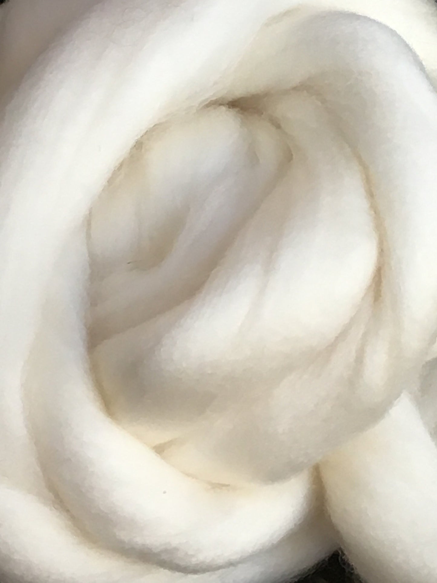 1lb Pound Merino wool roving