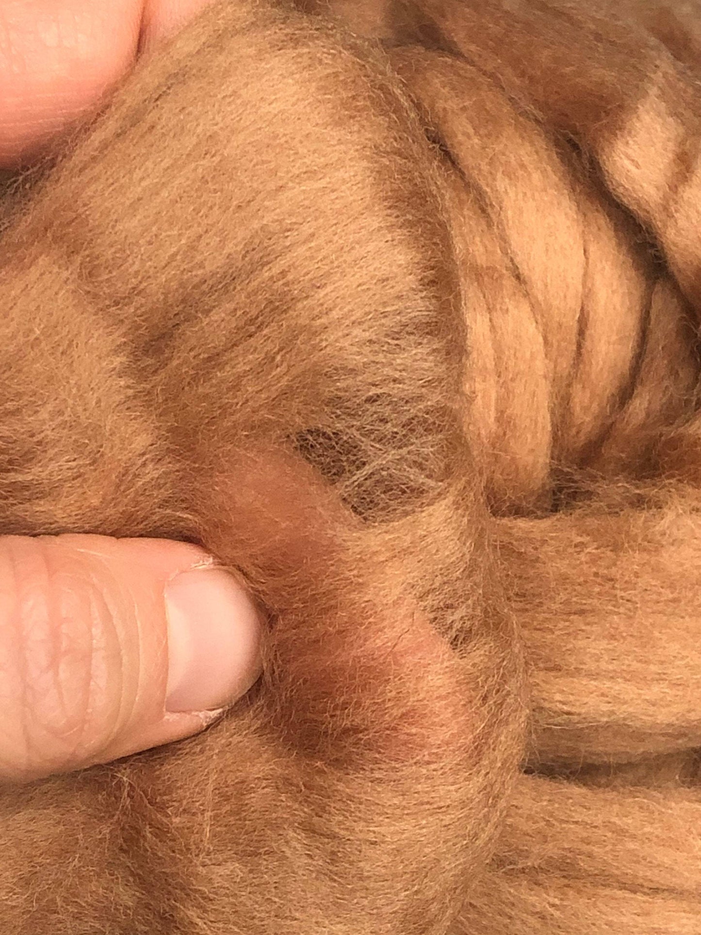 Skin Tone Felting Wool Fawn Tan