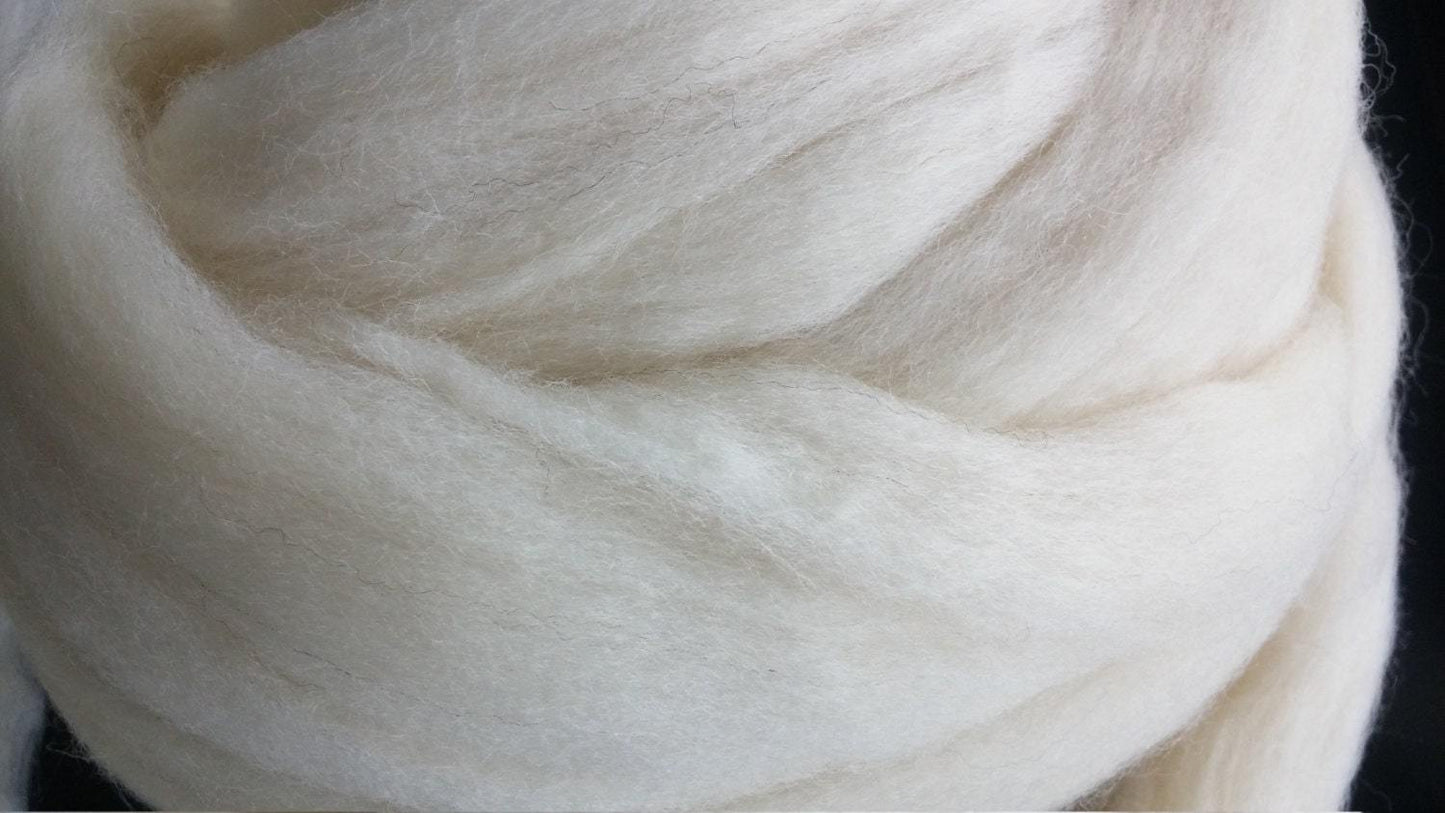 2 lbs White Wool Top Roving