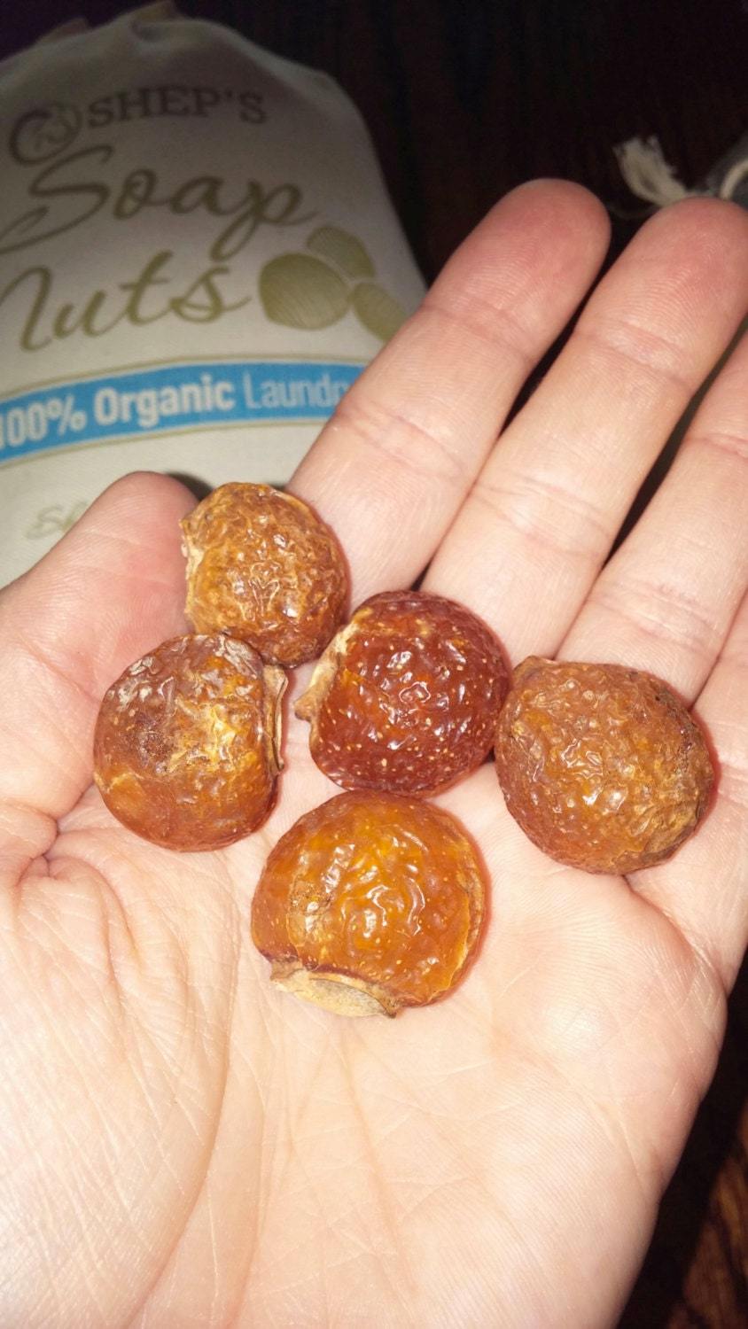 Shep's Natural Laudry Complete  KIT (1 lb Organic Soap Nuts Natural Laundry Detergent and 6 Wool Dryer Balls)