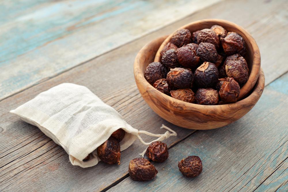 Organic Soap Nuts