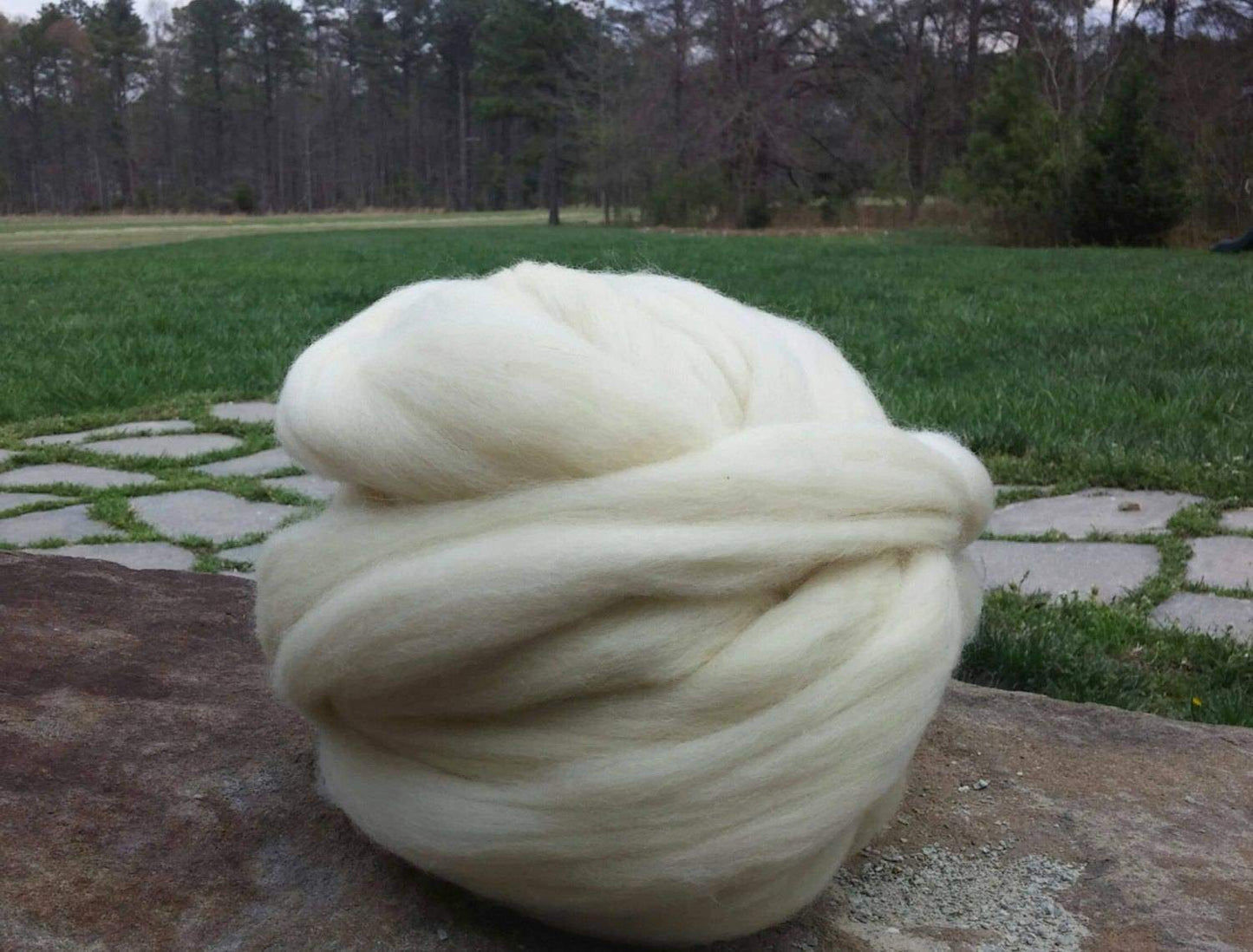 1lb Wool Roving Fiber White