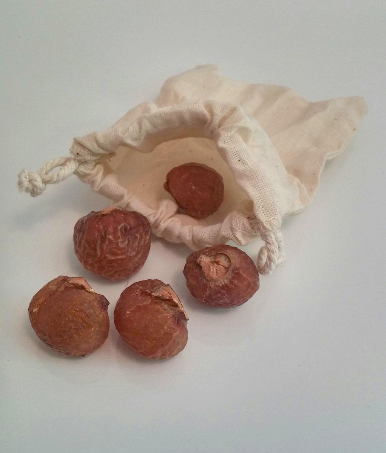 Organic Soap Nuts (Soap Berries) Natural Organic Laundry Detergent and Softener! 1lb, 1/2lb Shep's Soap Nuts